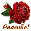 :sm03 (16):